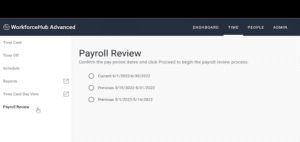 payroll review tool